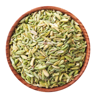 Fennel Seeds
